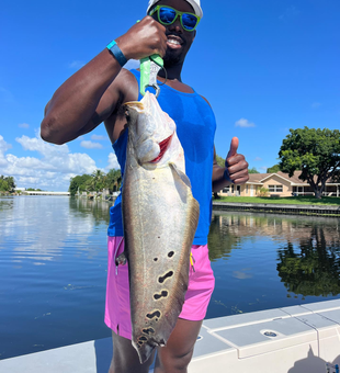 Delray Beach's Best Clown Knife Fishing